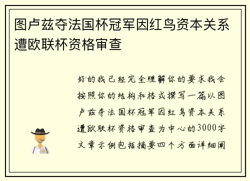 图卢兹夺法国杯冠军因红鸟资本关系遭欧联杯资格审查